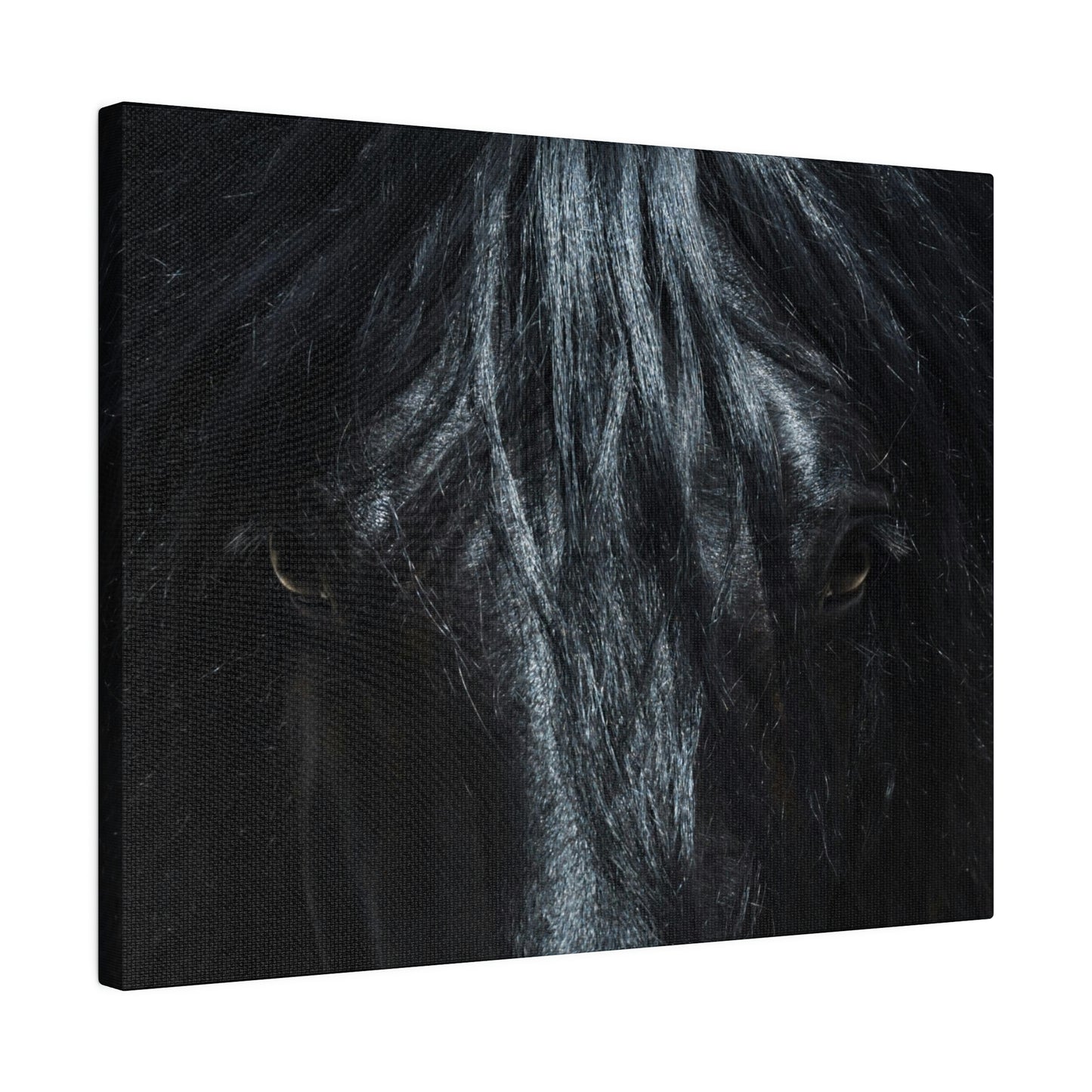 Black horse Face on Matte Canvas, Stretched, 0.75"