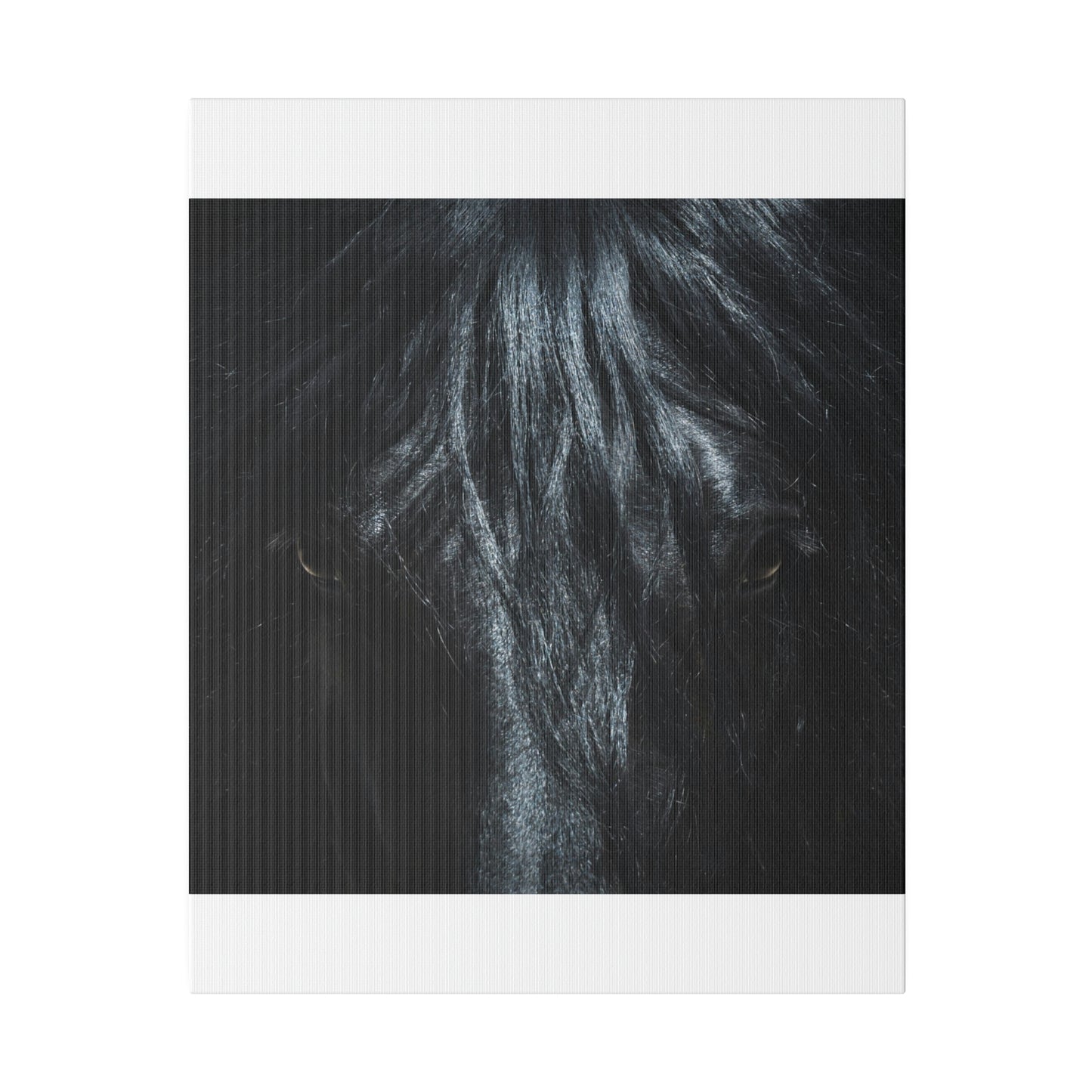 Black horse Face on Matte Canvas, Stretched, 0.75"