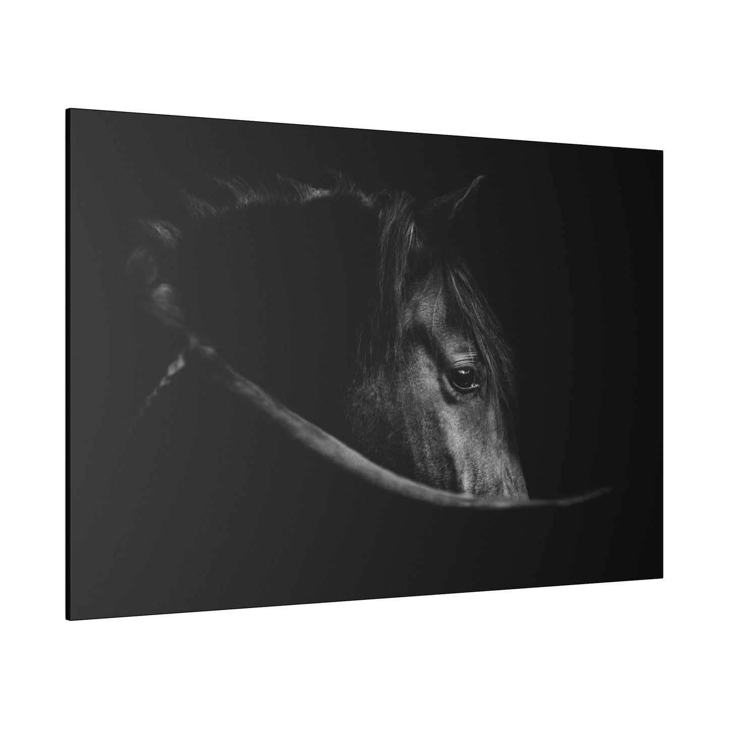 Black Beauty on Matte Canvas, Stretched, 0.75"