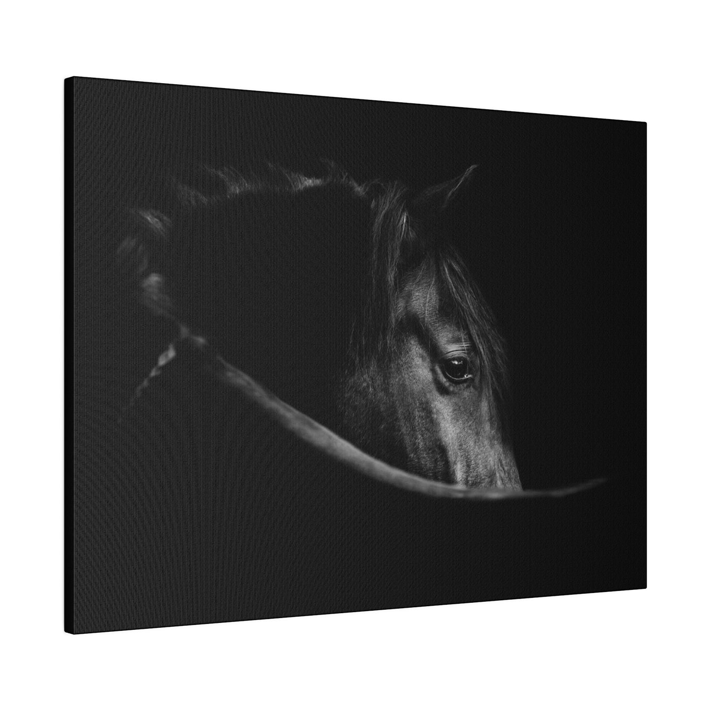 Black Beauty on Matte Canvas, Stretched, 0.75"