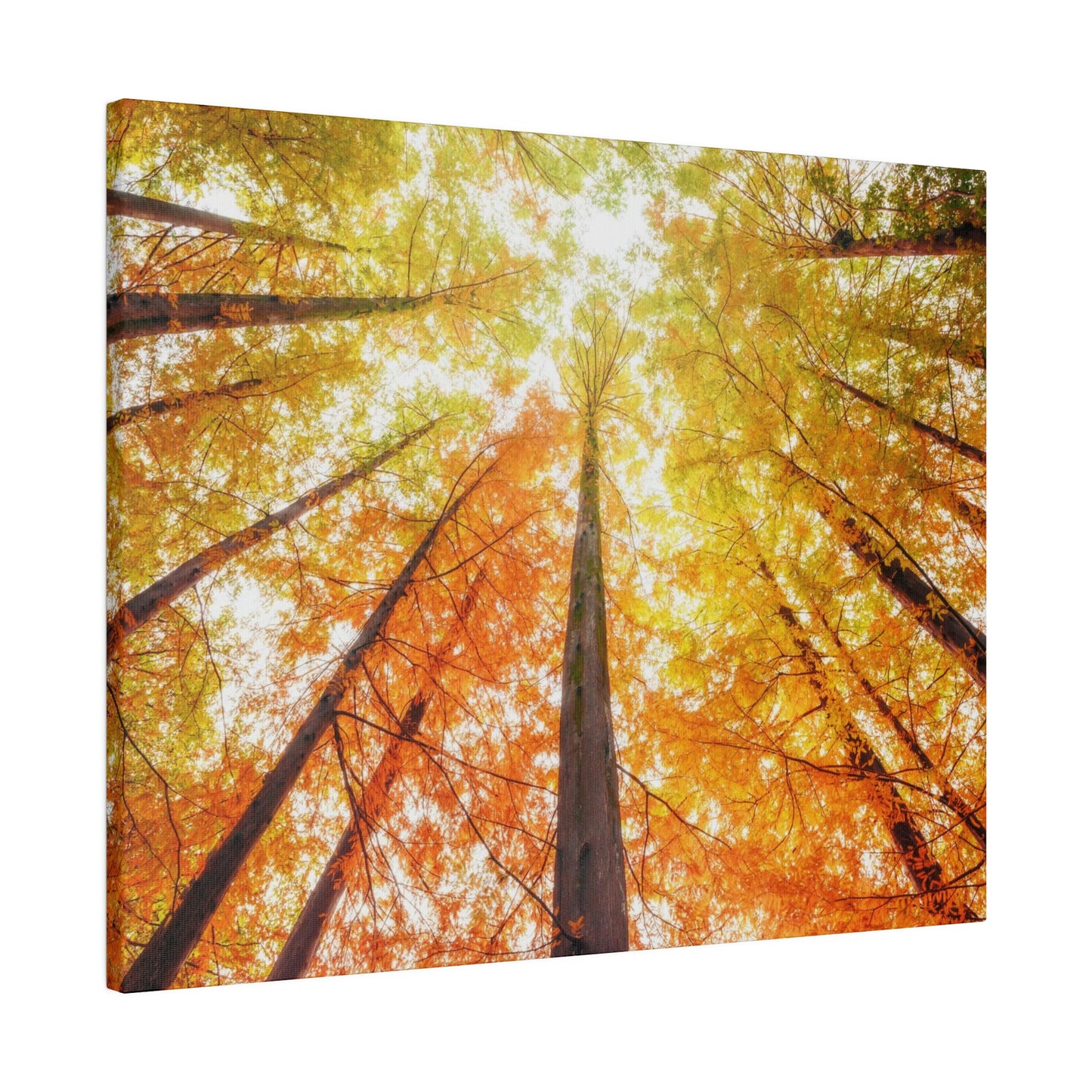 A fall Dream on Matte Canvas, Stretched, 0.75"