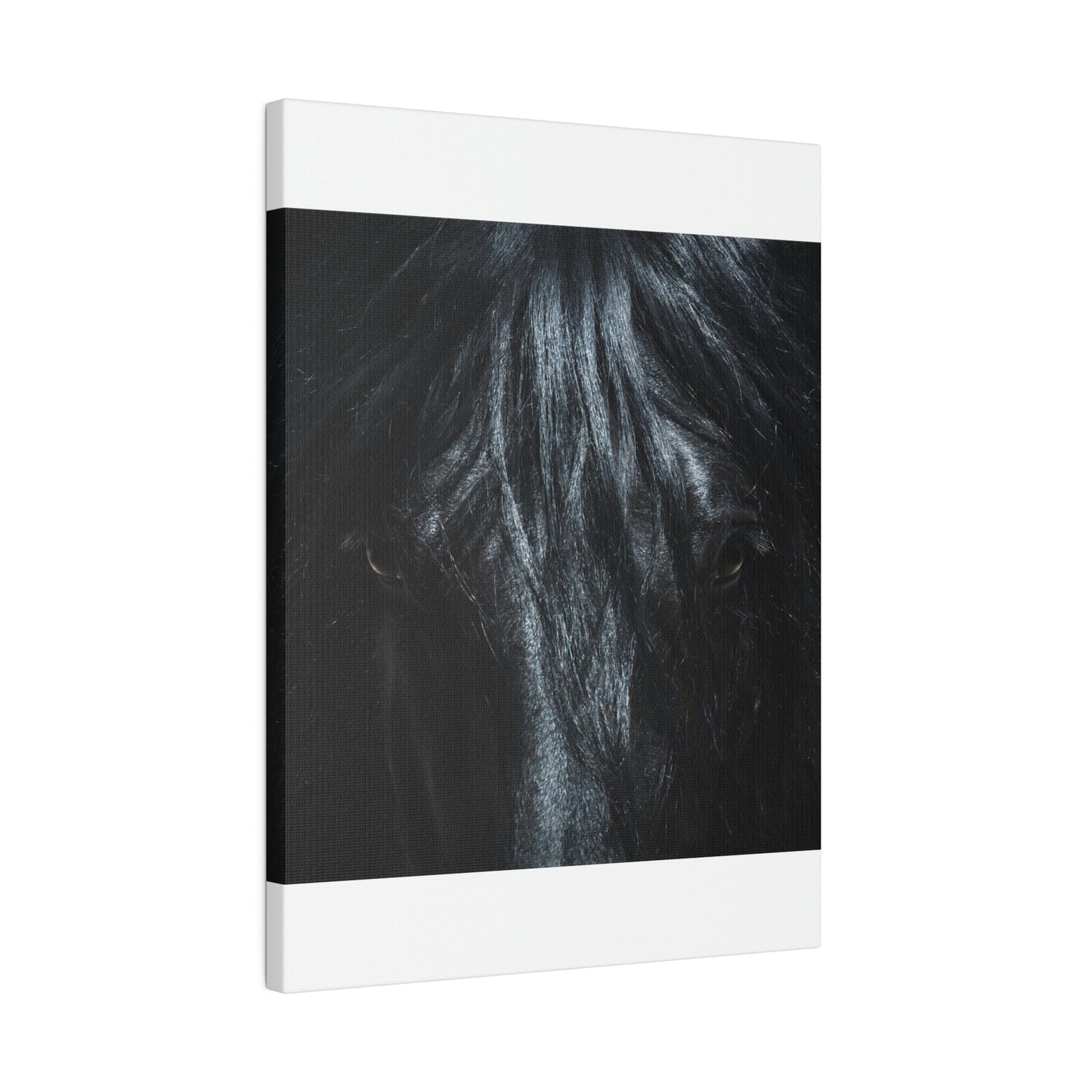 Black horse Face on Matte Canvas, Stretched, 0.75"