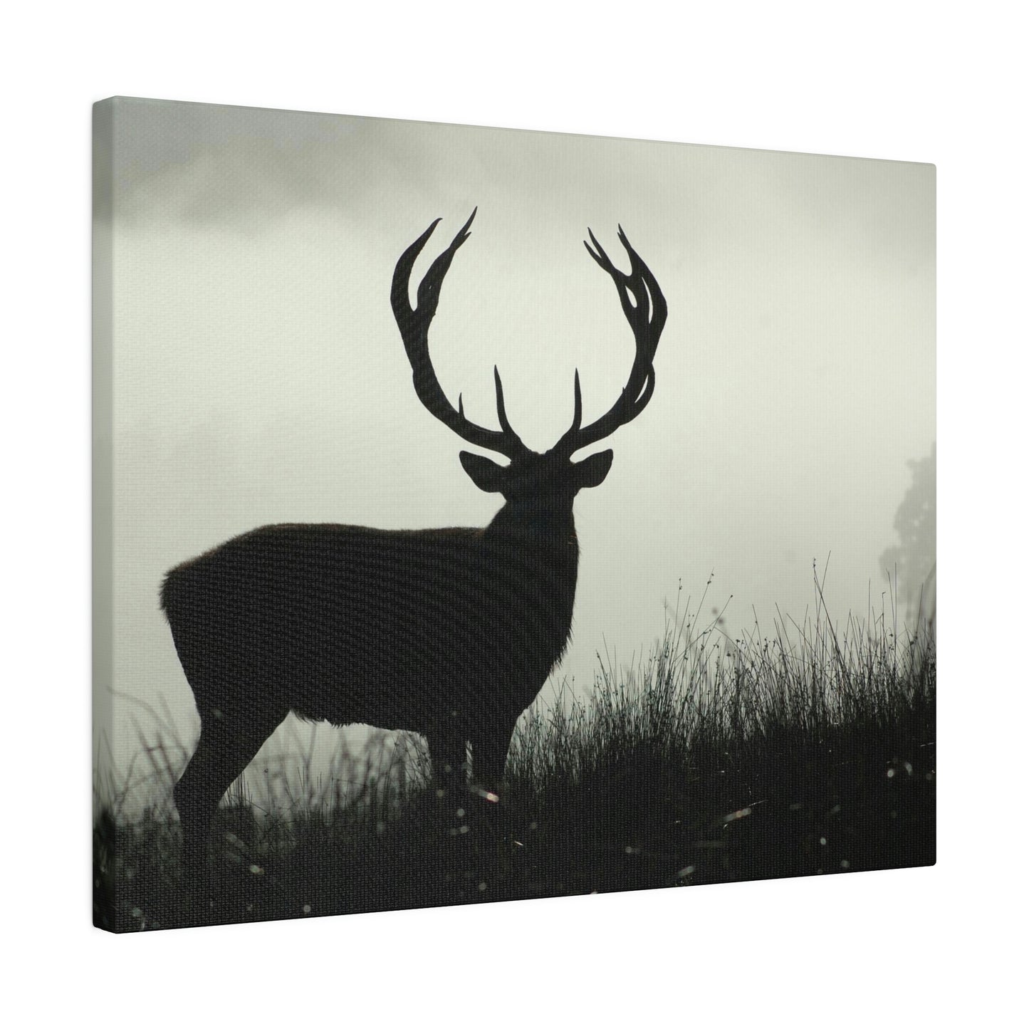 Big Buck on Matte Canvas, Stretched, 0.75"