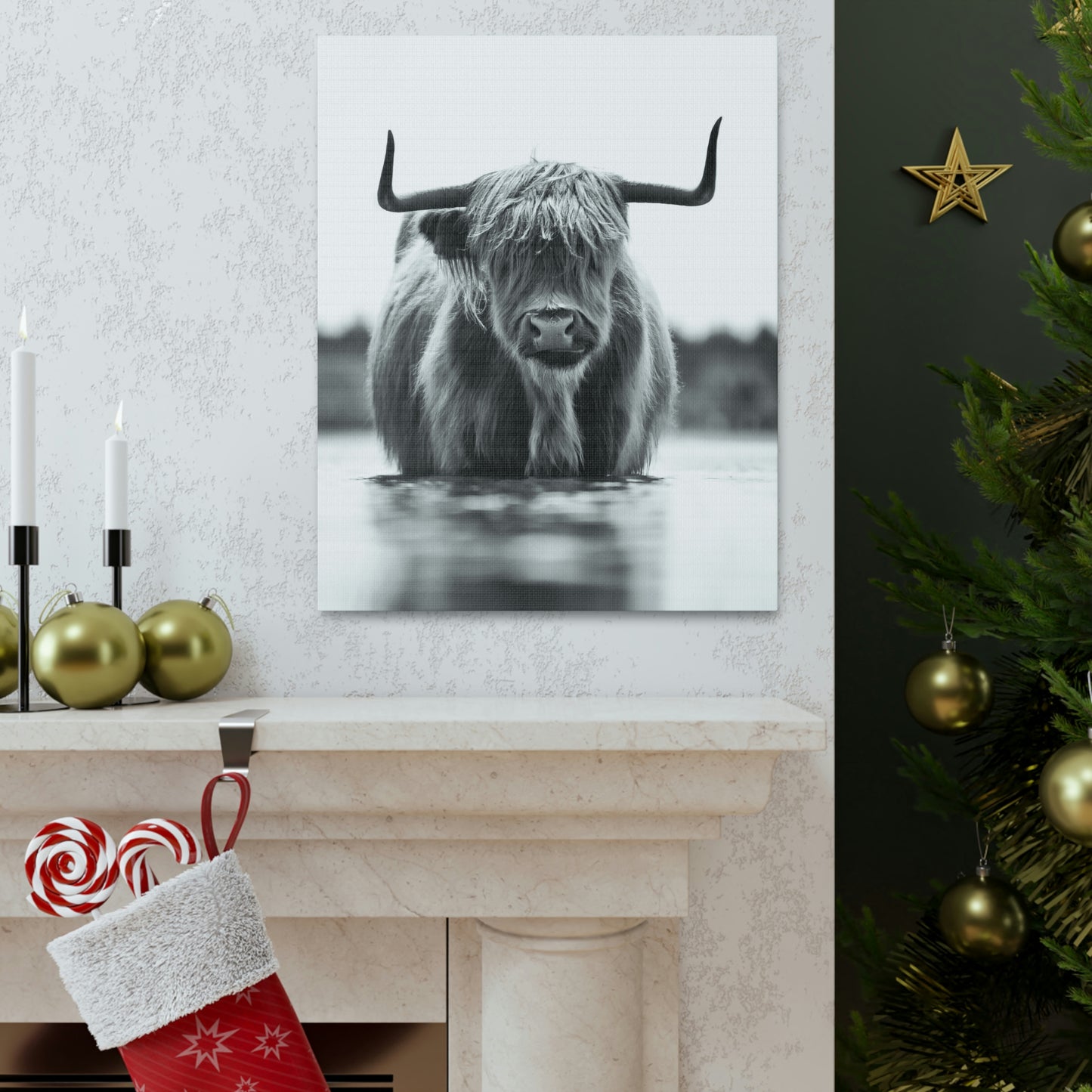 Highland Cow in water