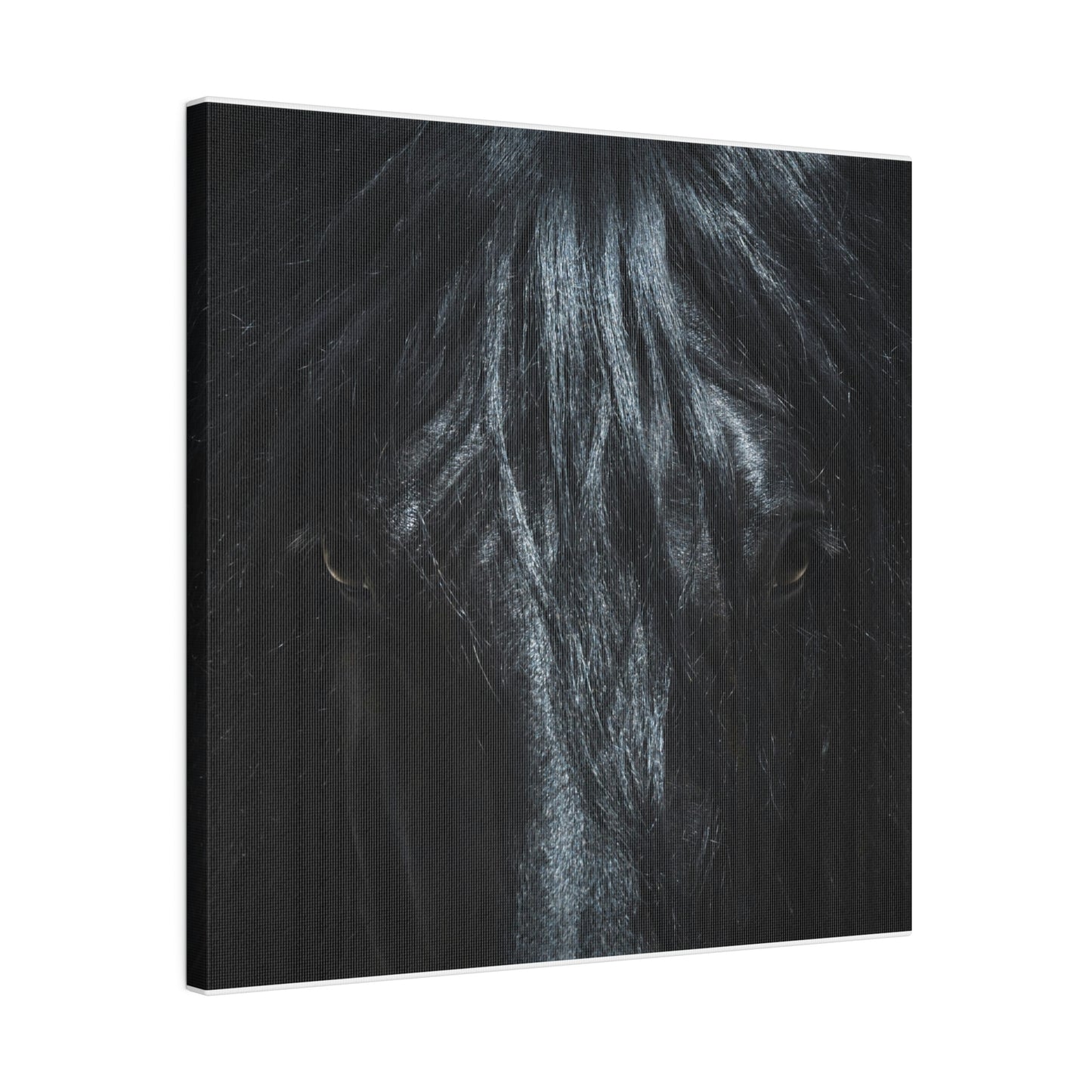 Black horse Face on Matte Canvas, Stretched, 0.75"