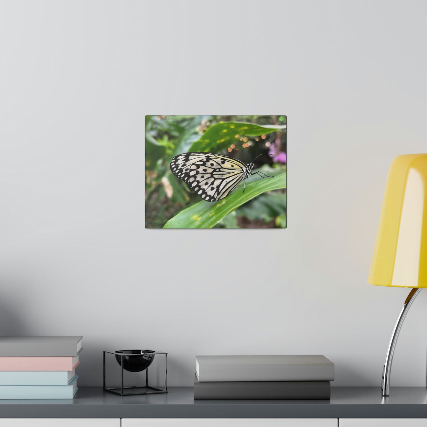 Black and White Butterfly on Matte Canvas, Stretched, 0.75"