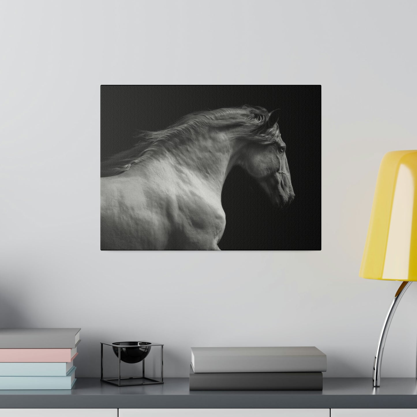 Black and White Horse on Matte Canvas, Stretched, 0.75"