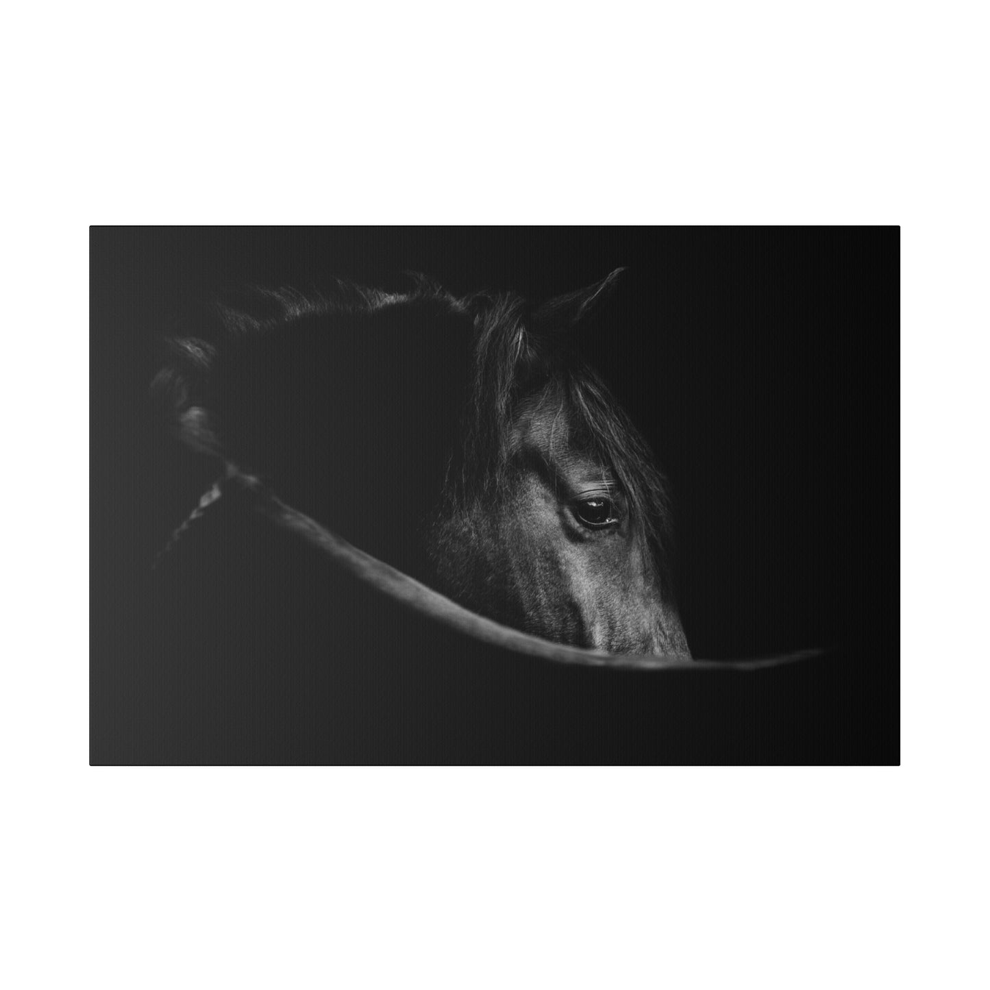 Black Beauty on Matte Canvas, Stretched, 0.75"