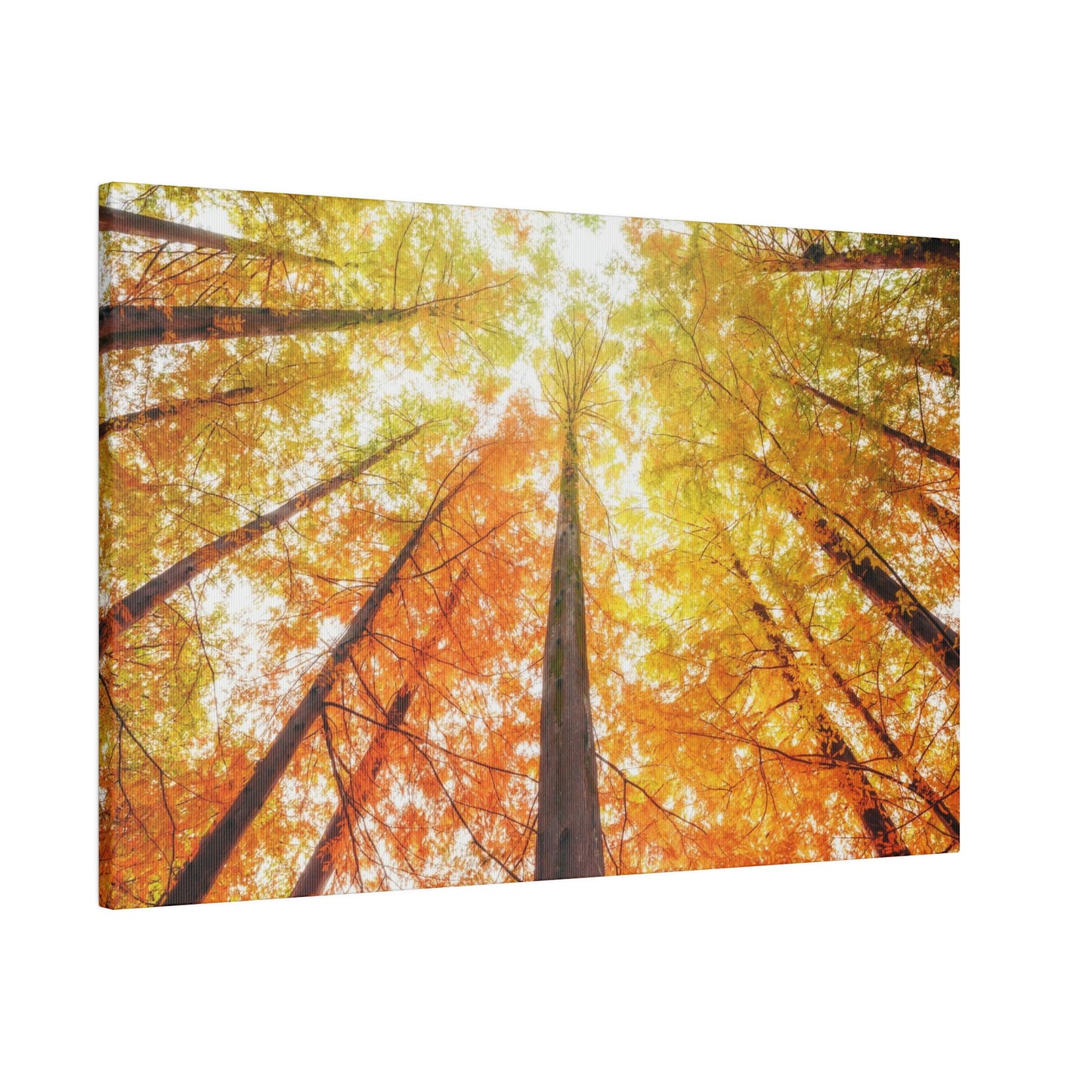 A fall Dream on Matte Canvas, Stretched, 0.75"