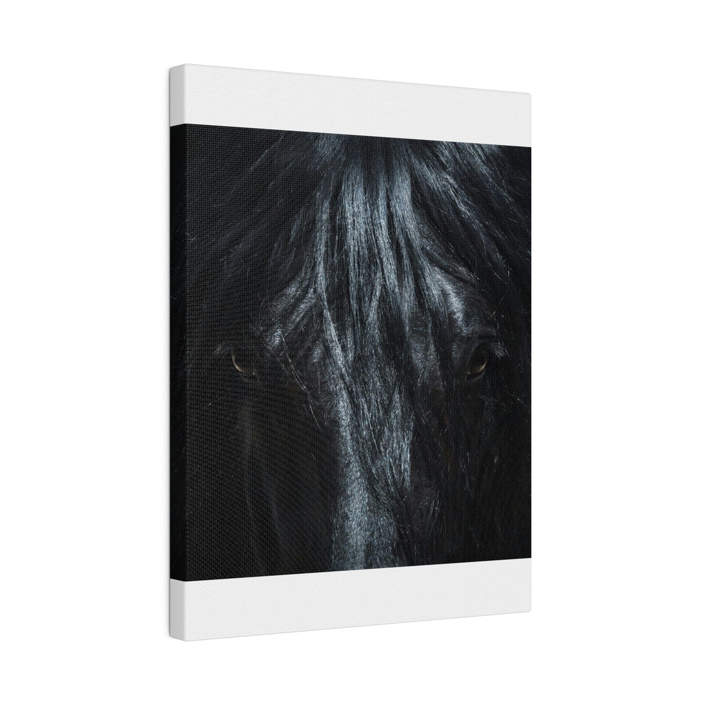 Black horse Face on Matte Canvas, Stretched, 0.75"