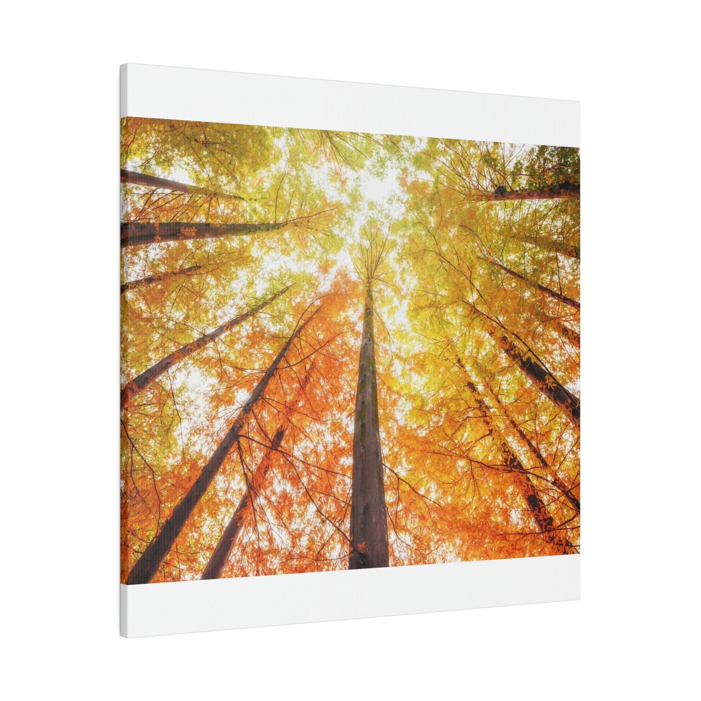 A fall Dream on Matte Canvas, Stretched, 0.75"