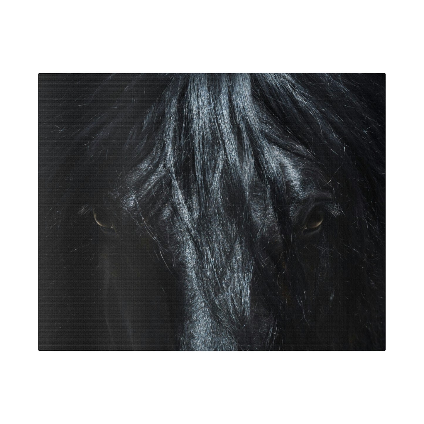 Black horse Face on Matte Canvas, Stretched, 0.75"