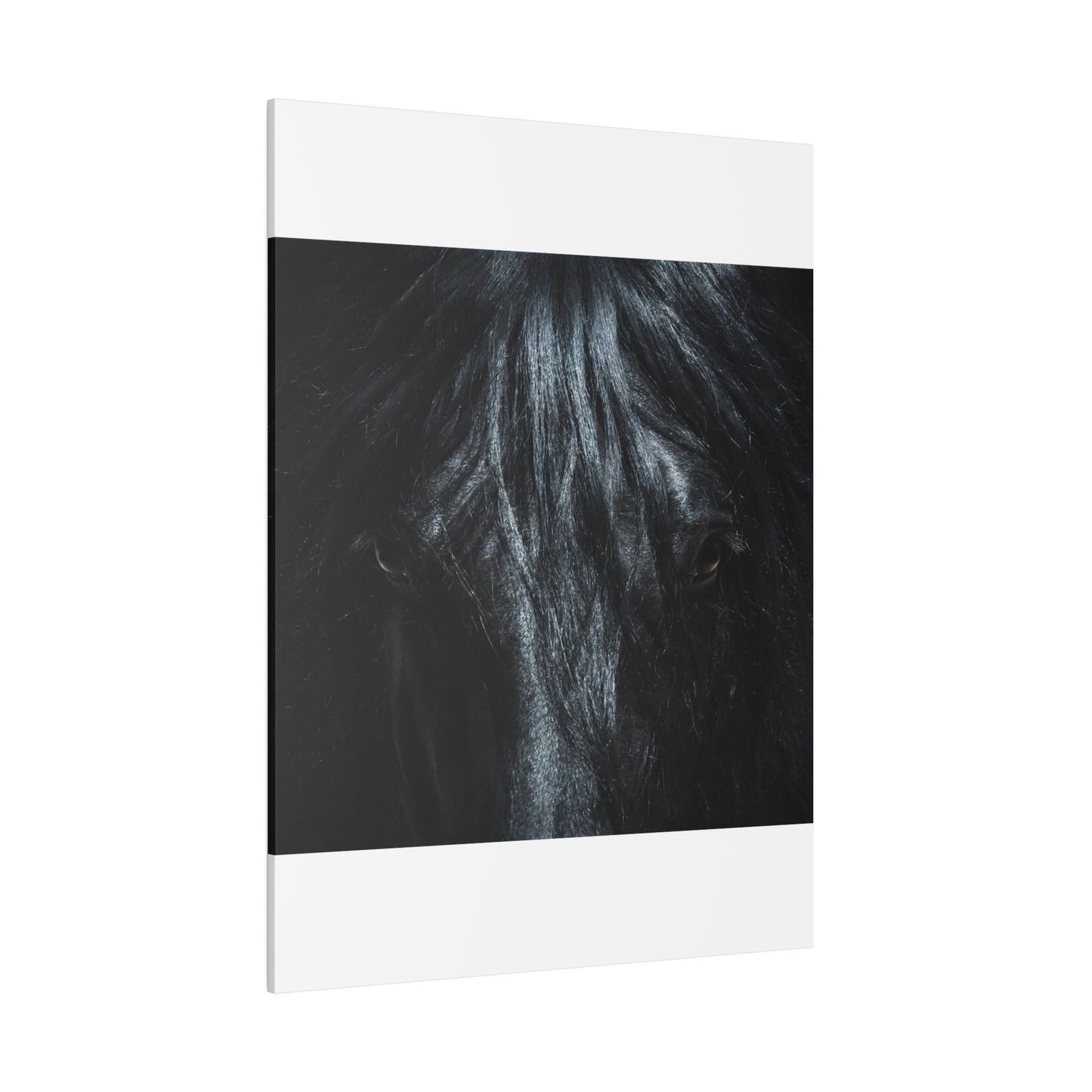 Black horse Face on Matte Canvas, Stretched, 0.75"