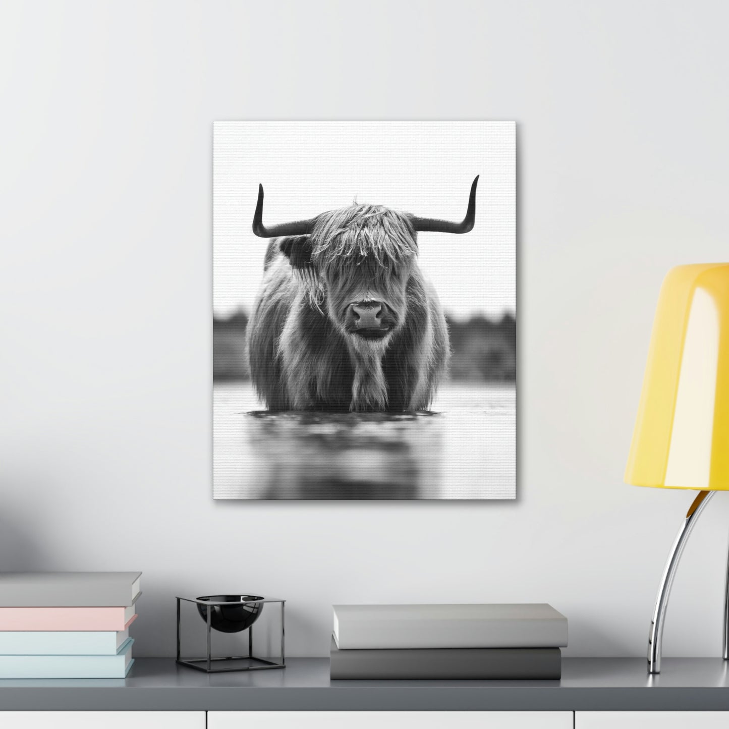 Highland Cow in water