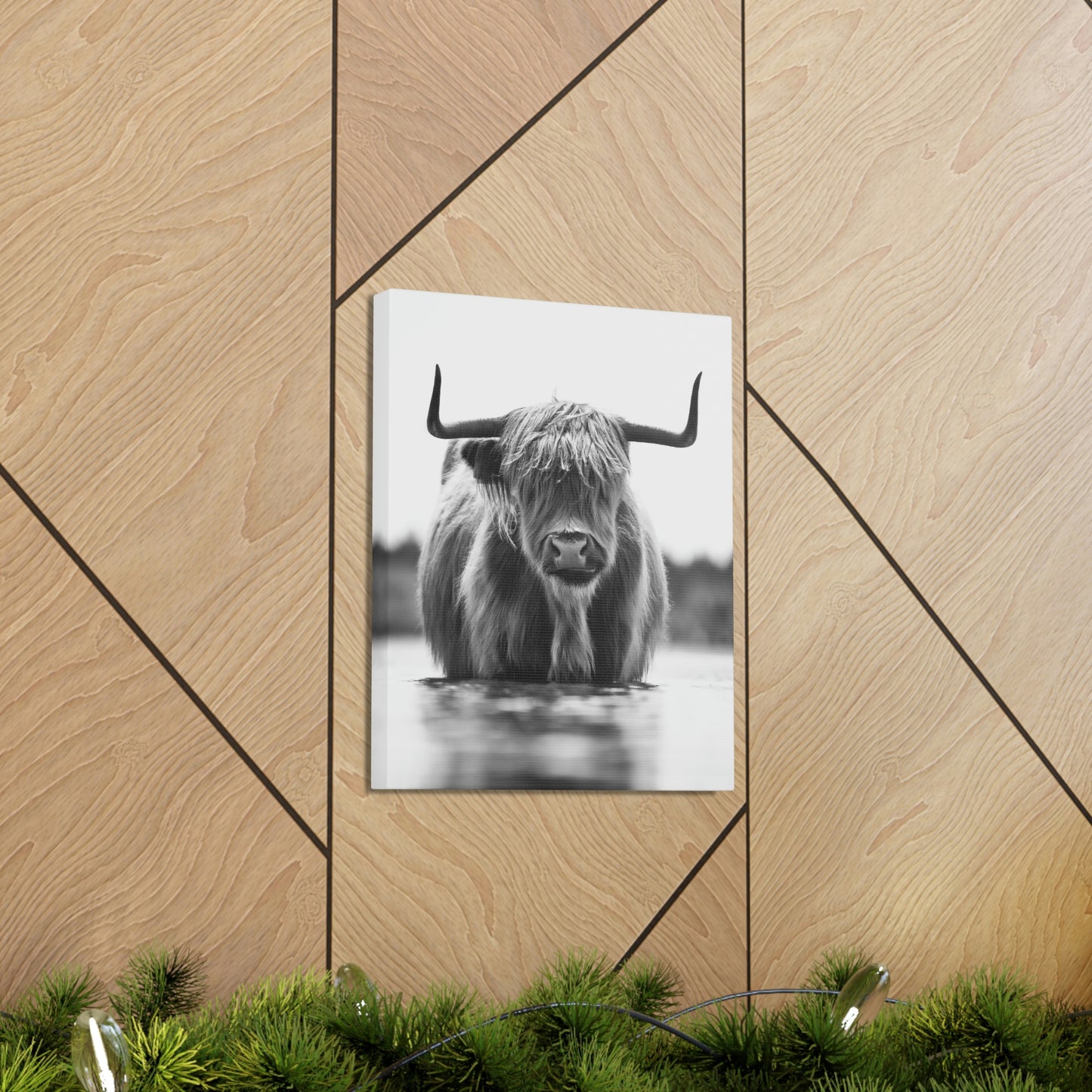 Highland Cow in water