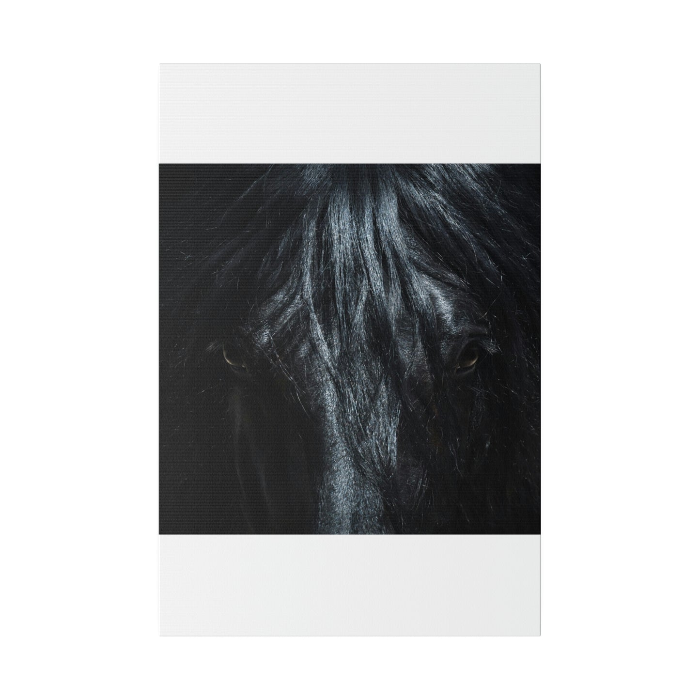 Black horse Face on Matte Canvas, Stretched, 0.75"