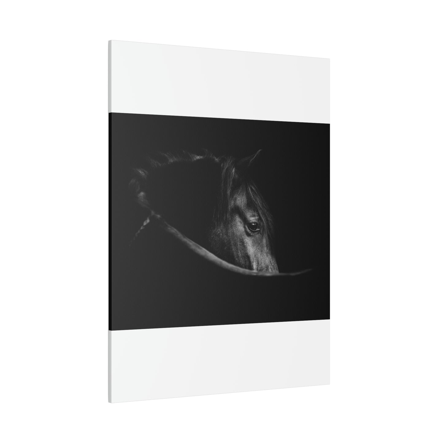 Black Beauty on Matte Canvas, Stretched, 0.75"