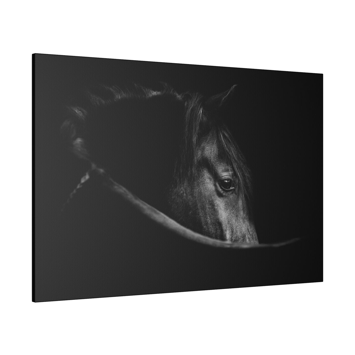 Black Beauty on Matte Canvas, Stretched, 0.75"