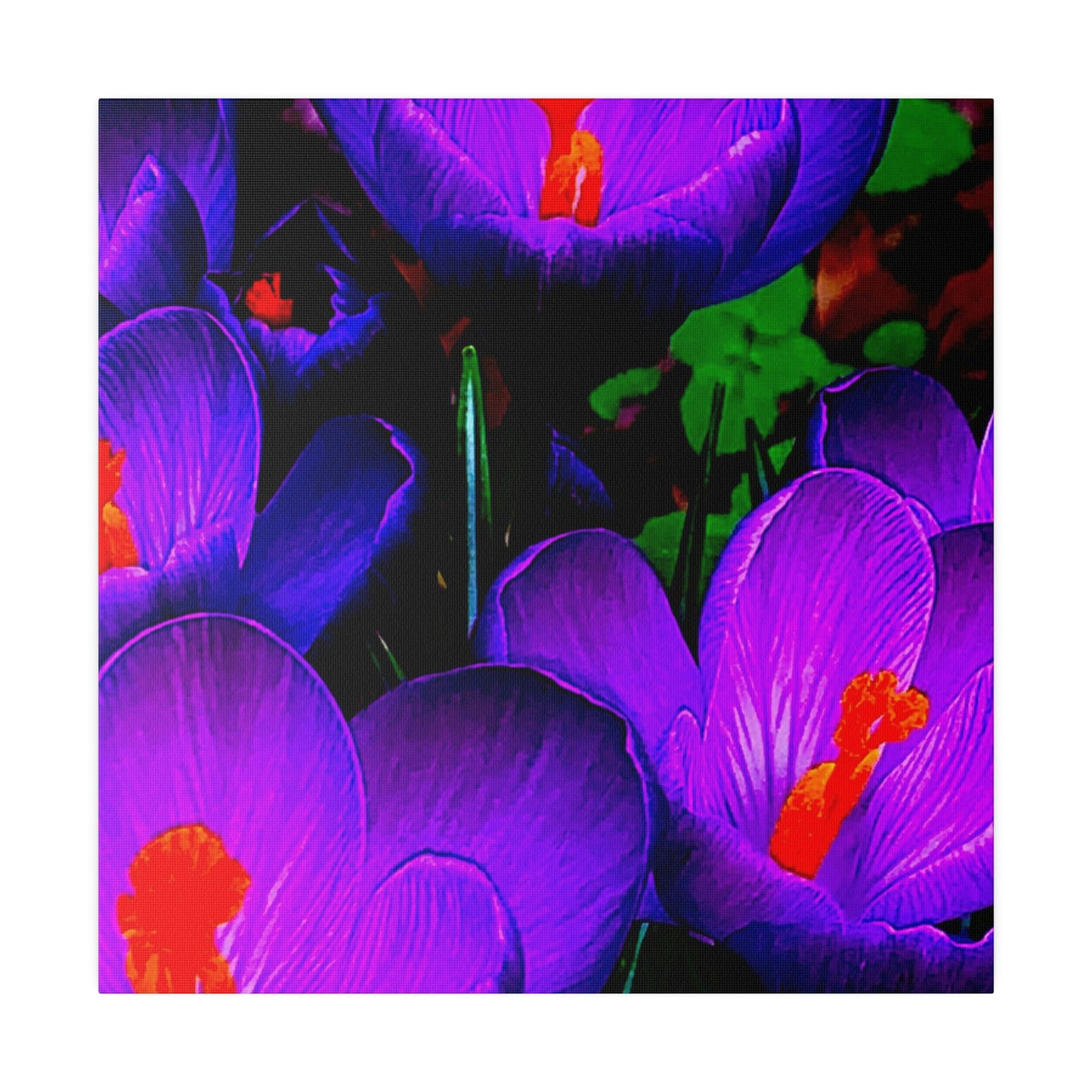 Purple Flowers on Matte Canvas, Stretched, 0.75"