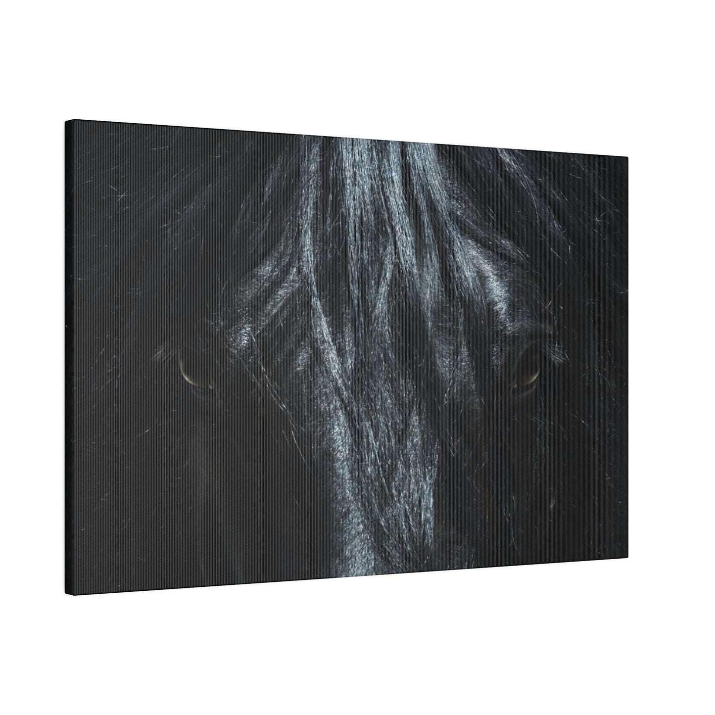 Black horse Face on Matte Canvas, Stretched, 0.75"