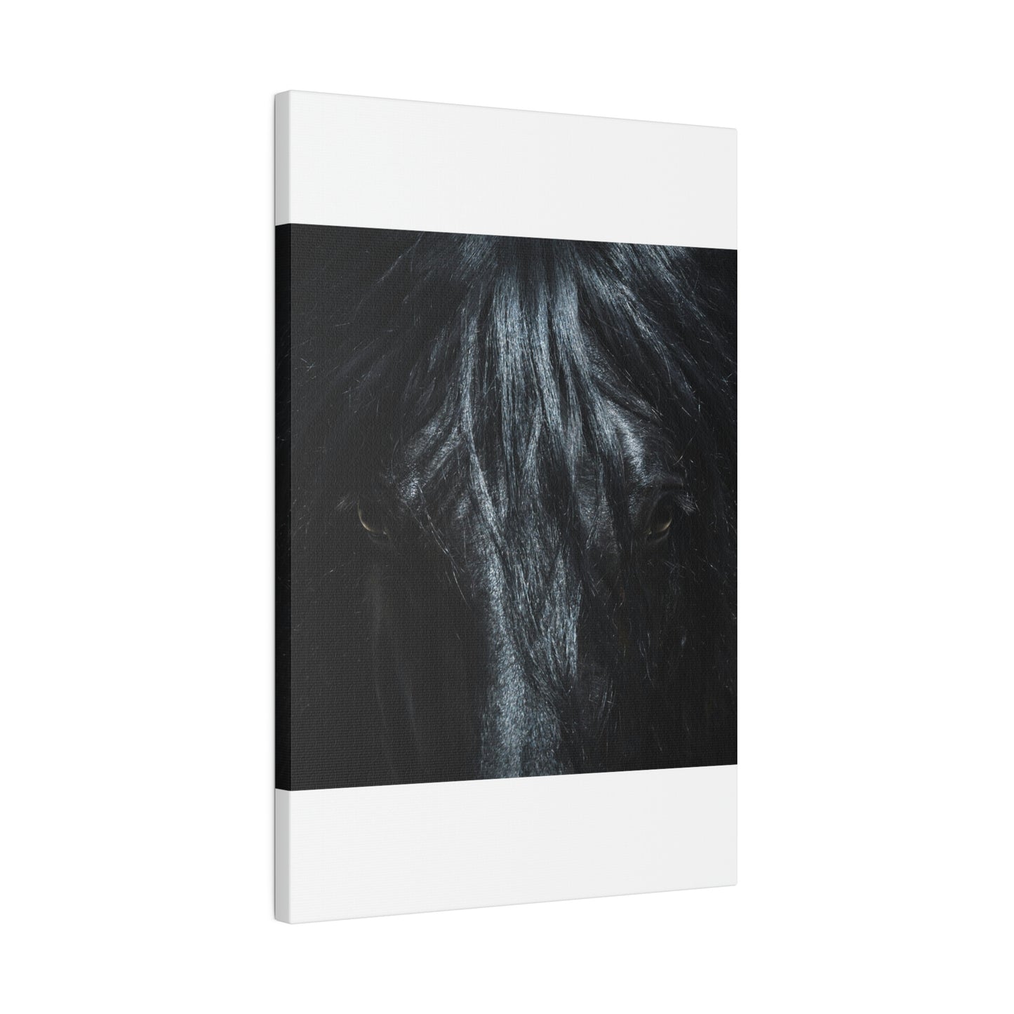 Black horse Face on Matte Canvas, Stretched, 0.75"