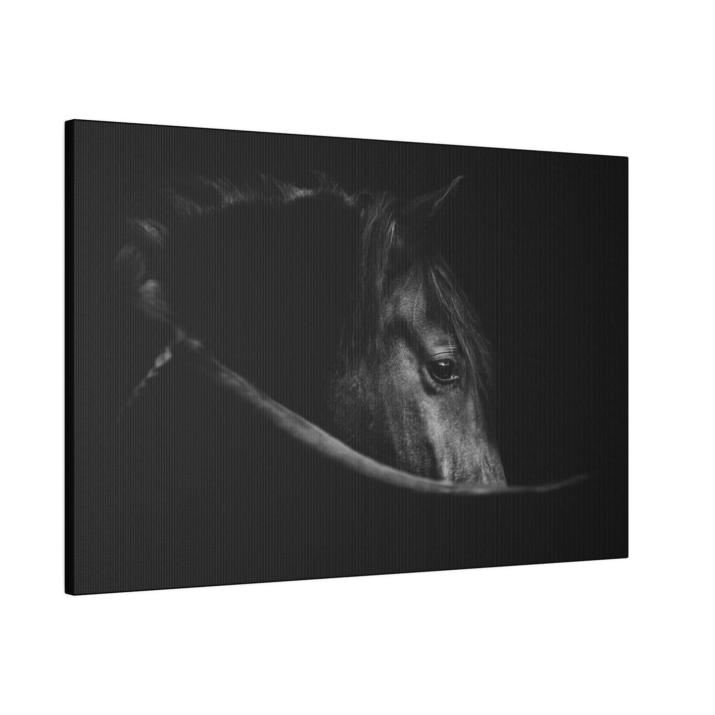 Black Beauty on Matte Canvas, Stretched, 0.75"