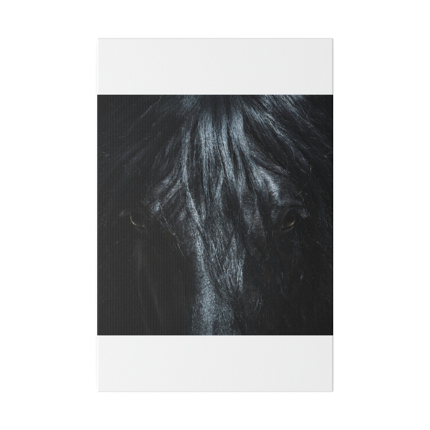 Black horse Face on Matte Canvas, Stretched, 0.75"