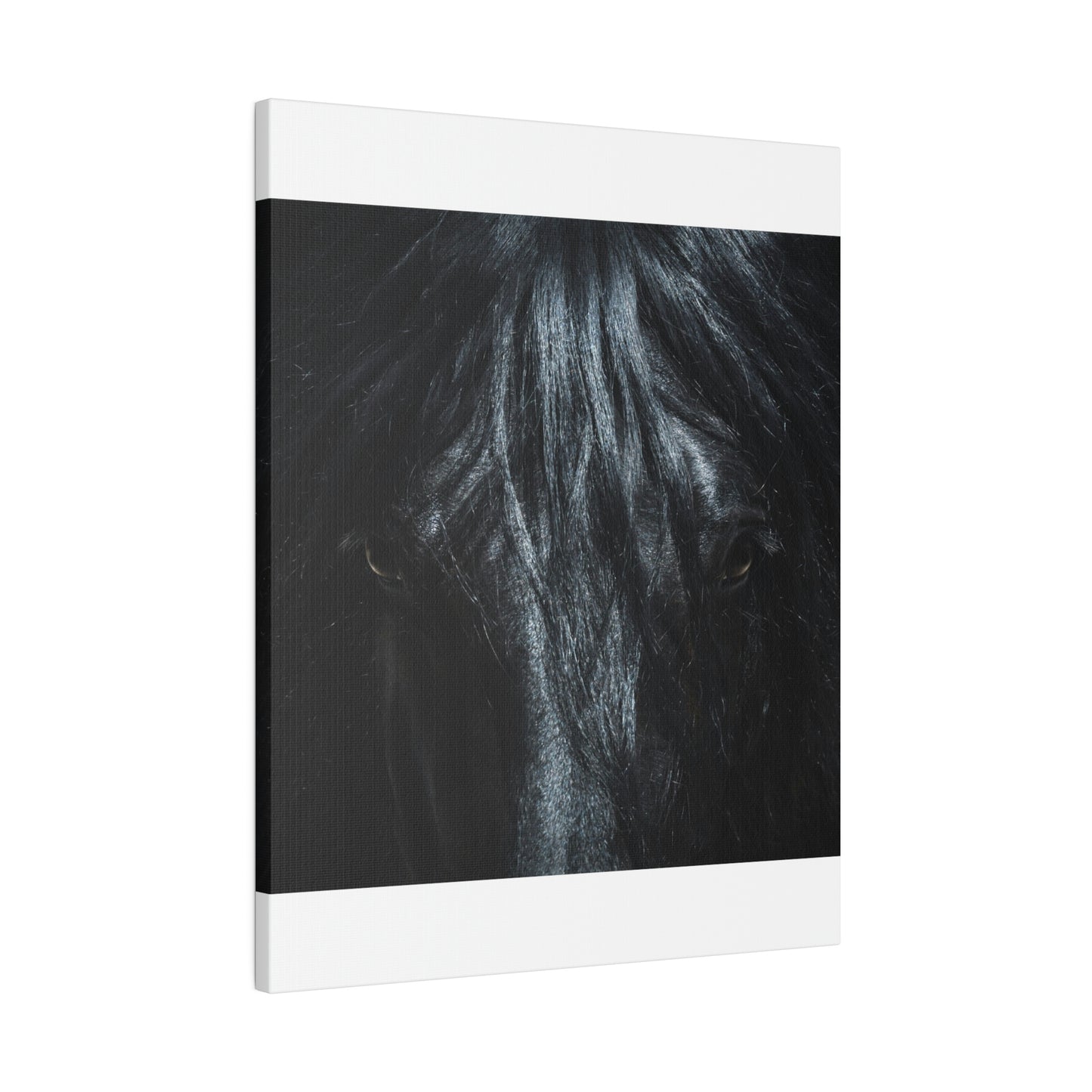 Black horse Face on Matte Canvas, Stretched, 0.75"