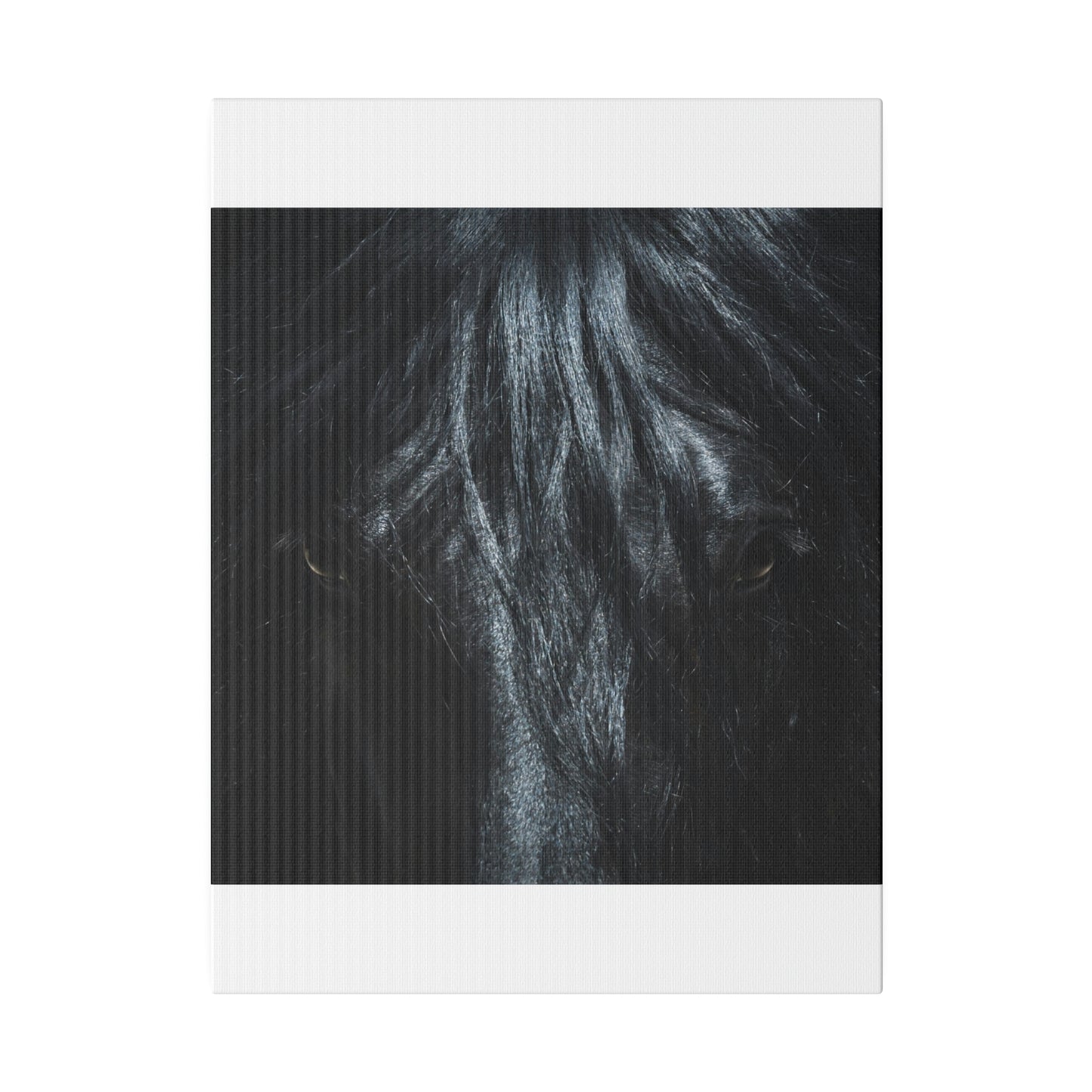 Black horse Face on Matte Canvas, Stretched, 0.75"