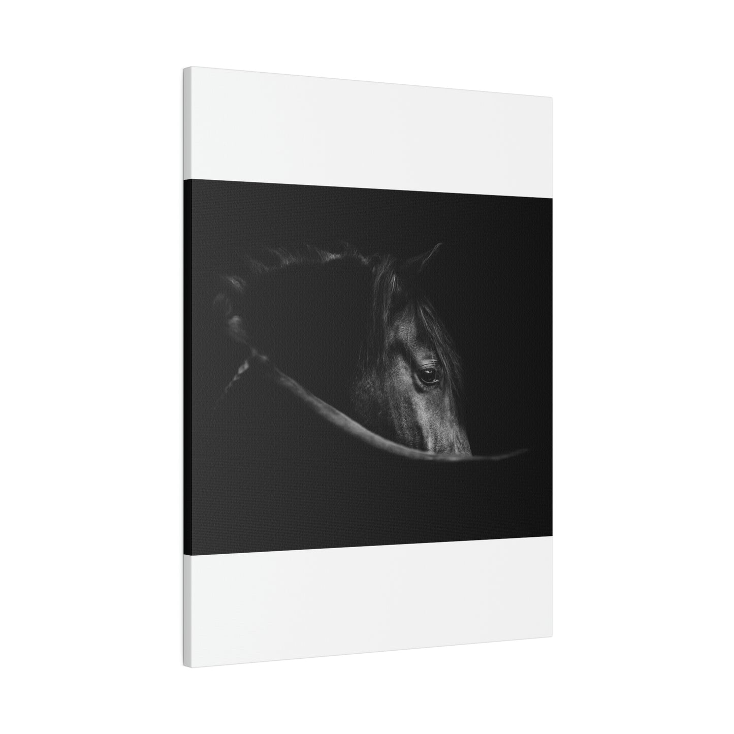 Black Beauty on Matte Canvas, Stretched, 0.75"