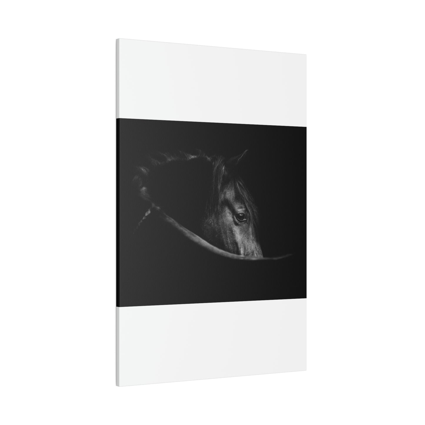 Black Beauty on Matte Canvas, Stretched, 0.75"