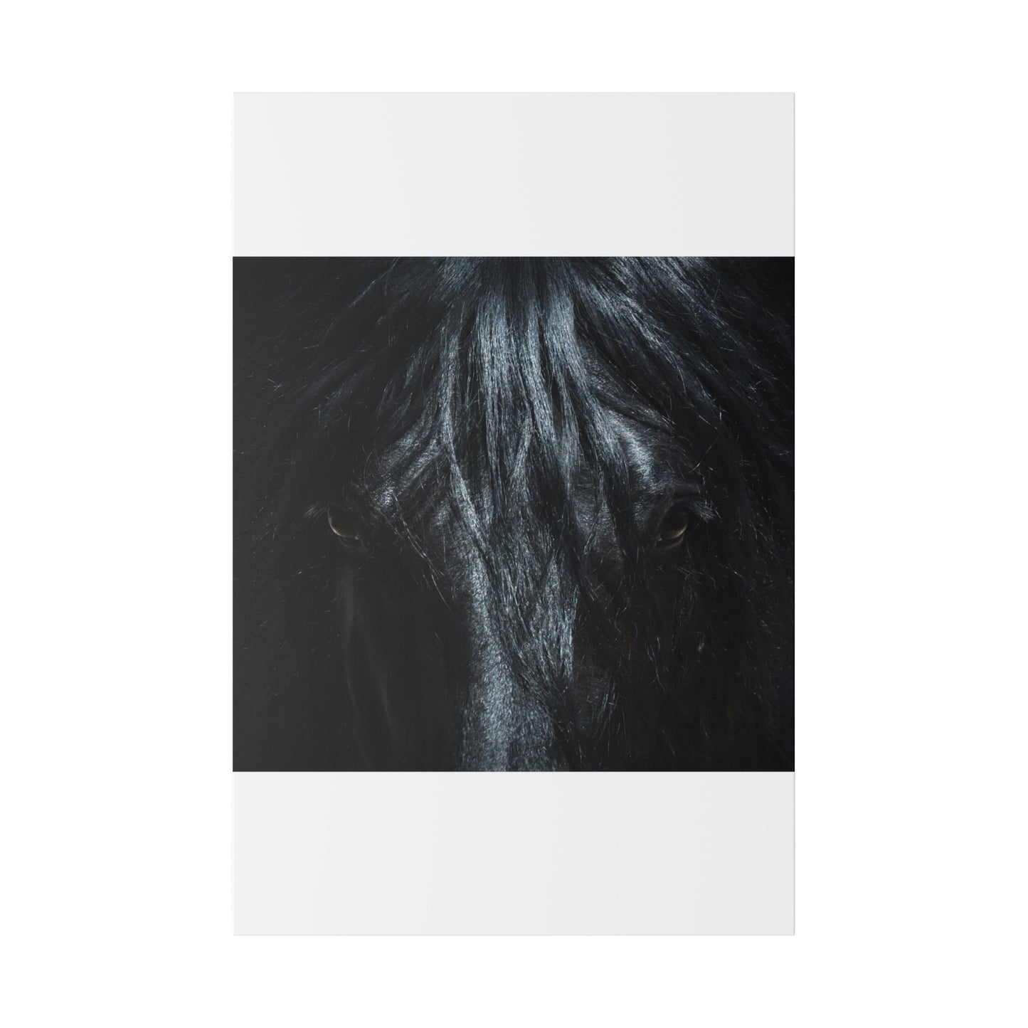 Black horse Face on Matte Canvas, Stretched, 0.75"