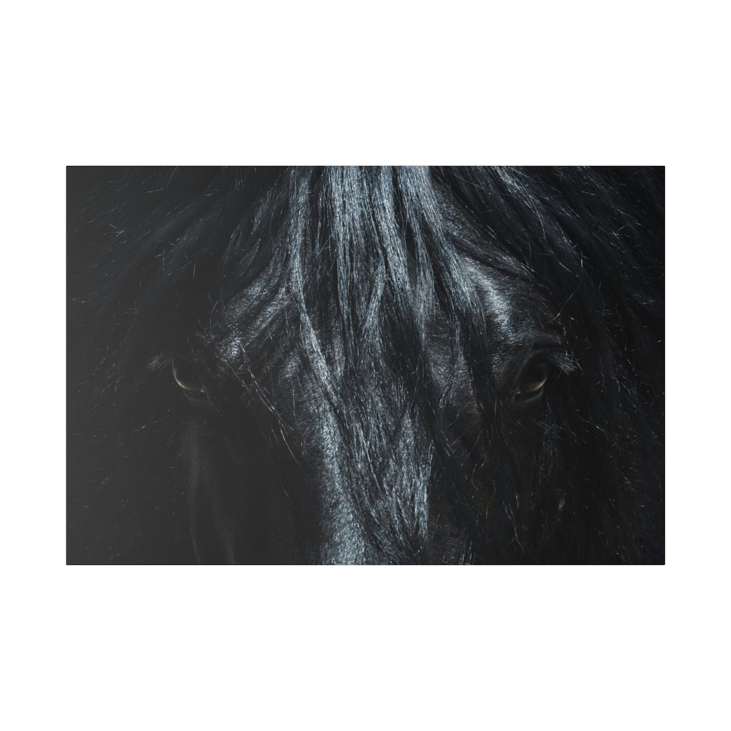 Black horse Face on Matte Canvas, Stretched, 0.75"