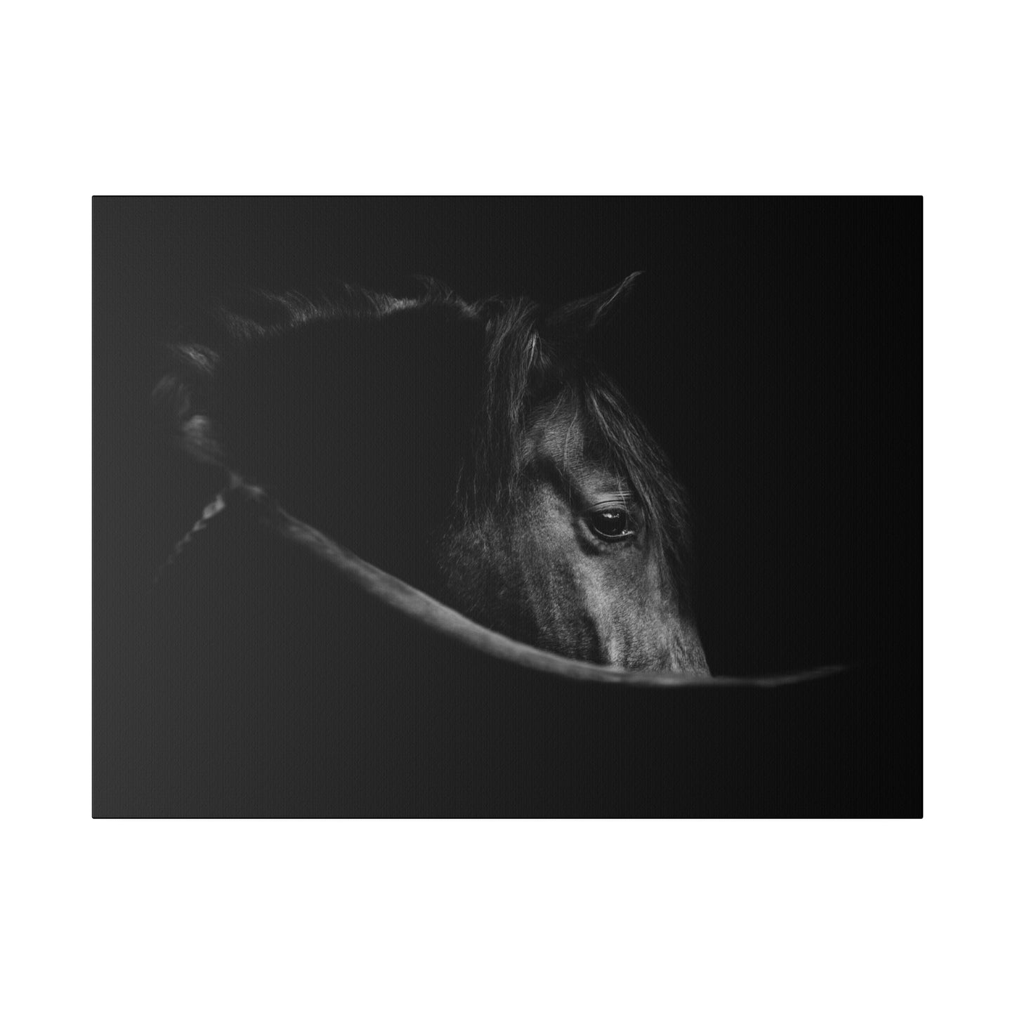 Black Beauty on Matte Canvas, Stretched, 0.75"