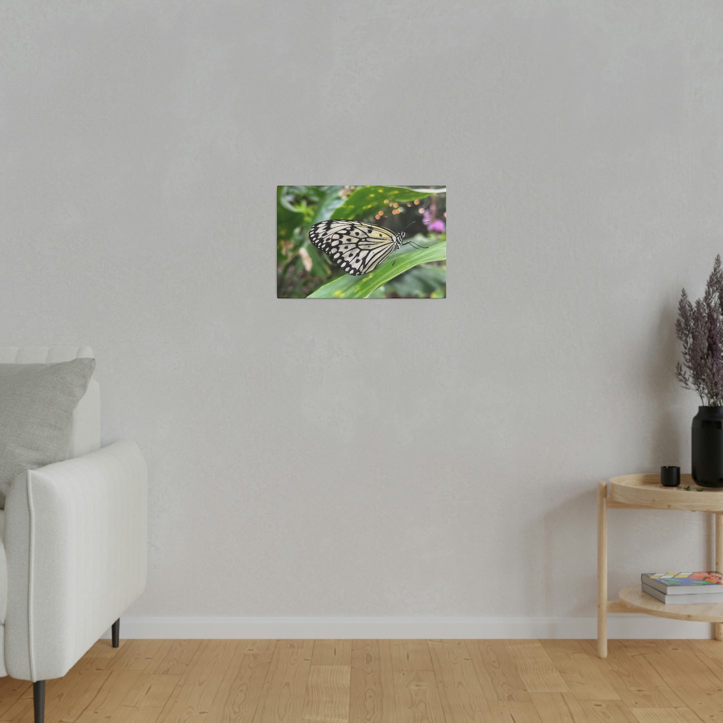 Black and White Butterfly on Matte Canvas, Stretched, 0.75"