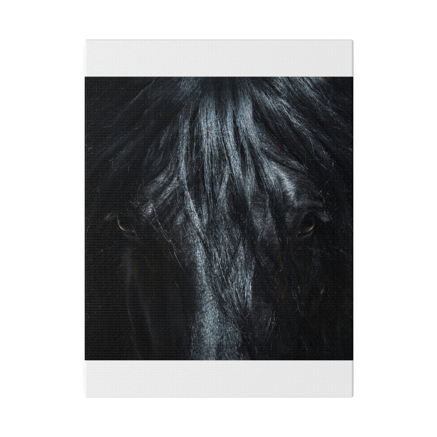 Black horse Face on Matte Canvas, Stretched, 0.75"