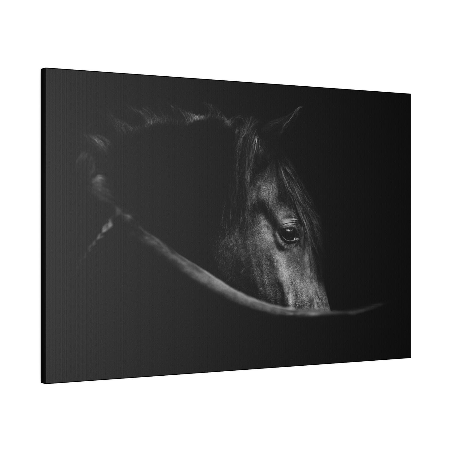 Black Beauty on Matte Canvas, Stretched, 0.75"