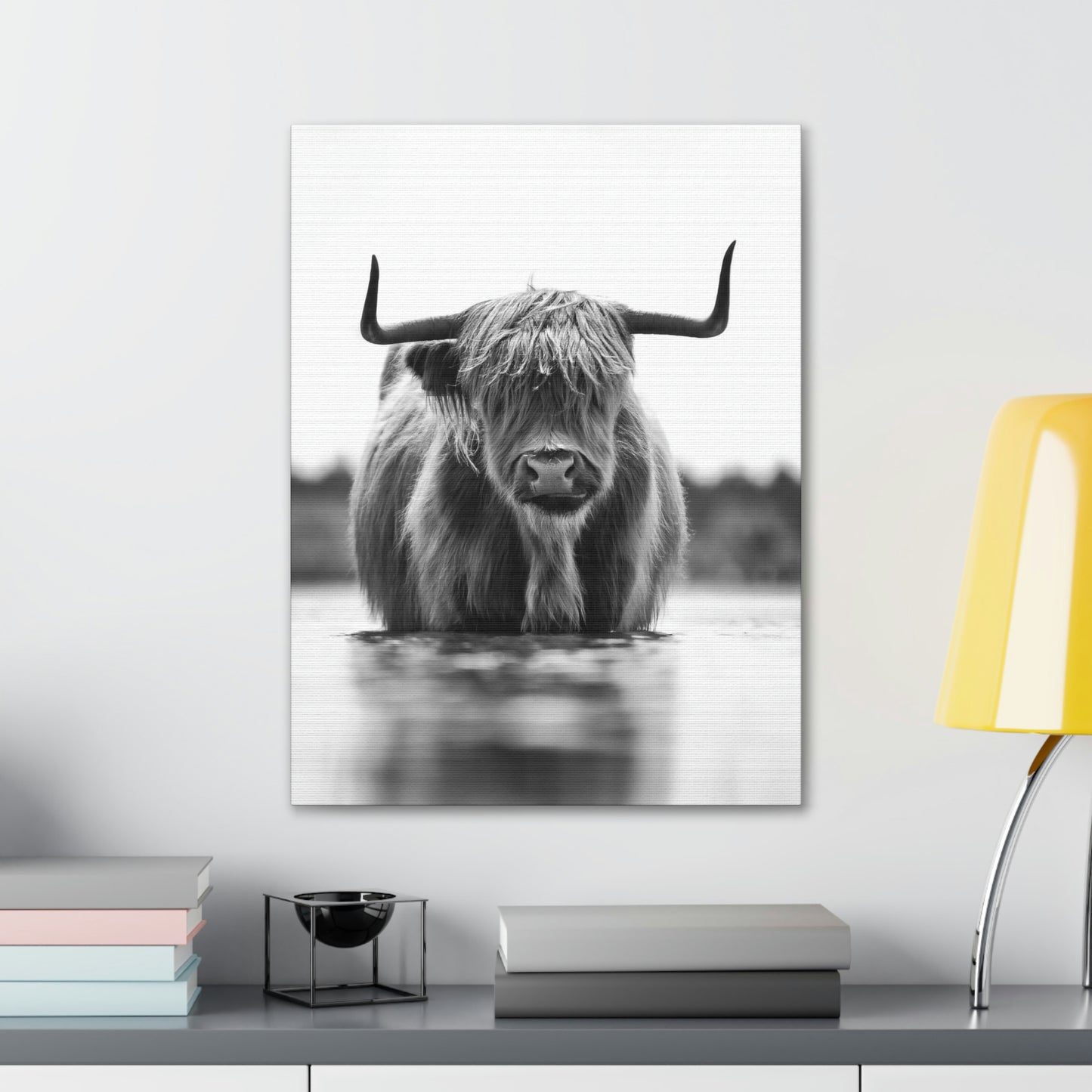 Highland Cow in water