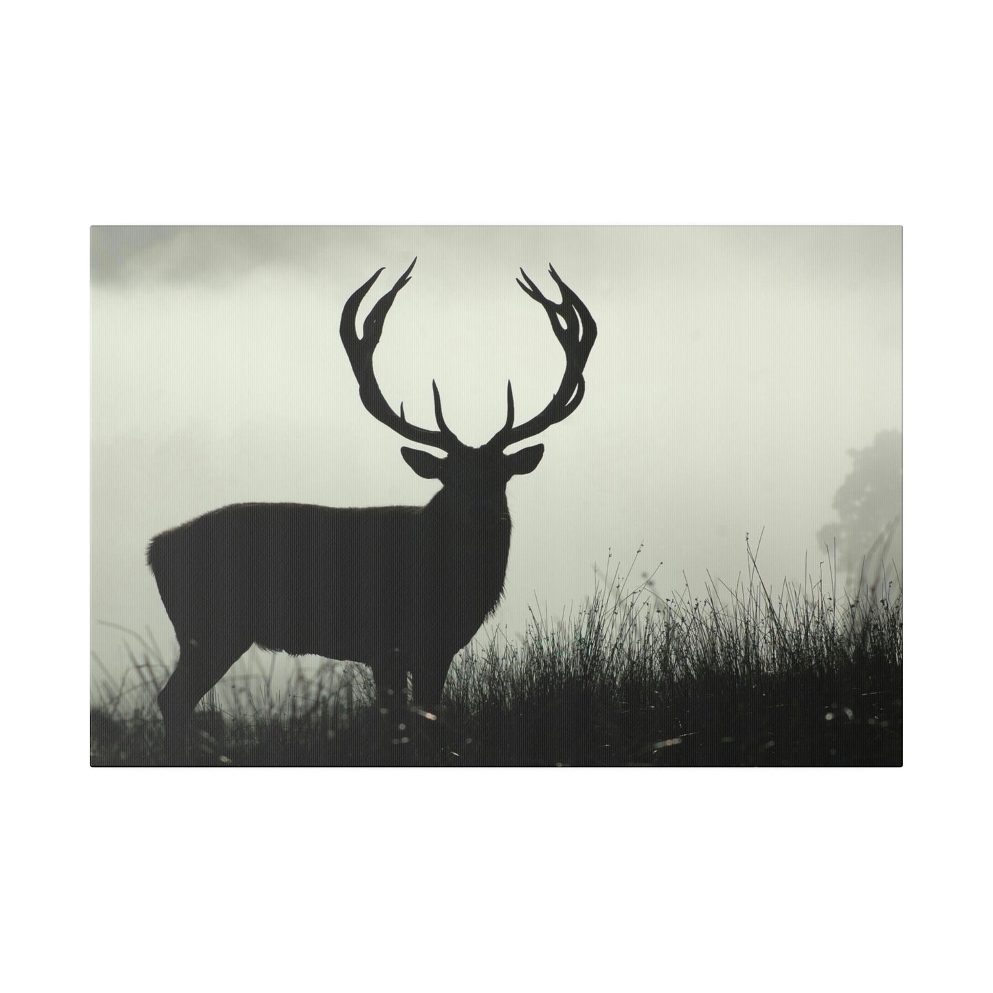 Big Buck on Matte Canvas, Stretched, 0.75"