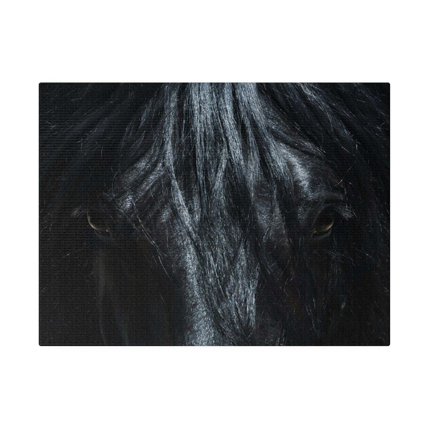 Black horse Face on Matte Canvas, Stretched, 0.75"