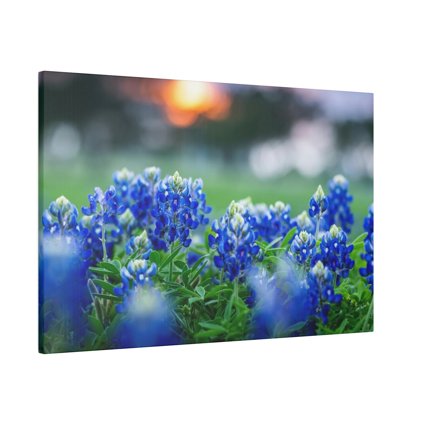 Blue Bonnets on matte Canvas, Stretched, 0.75"