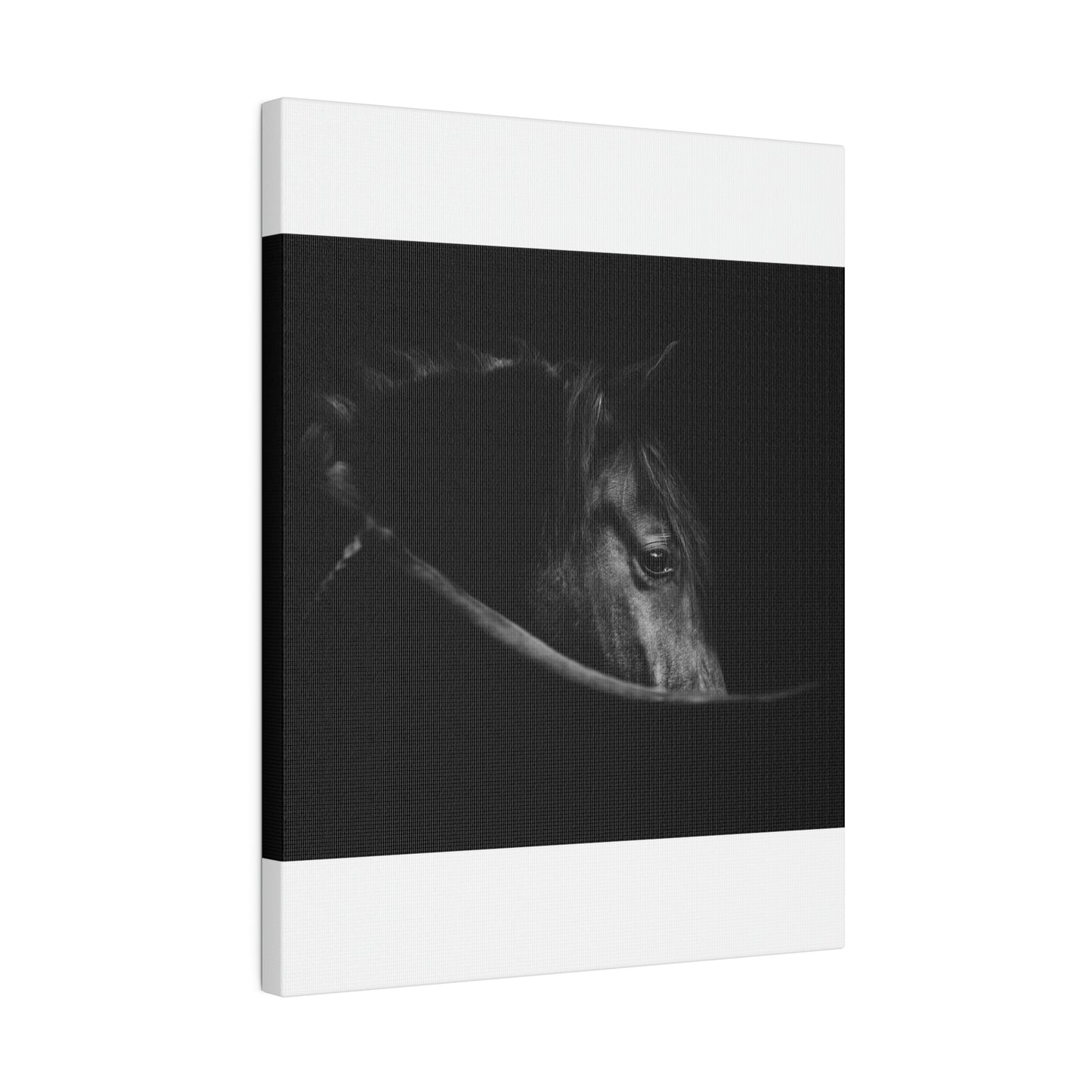 Black Beauty on Matte Canvas, Stretched, 0.75"