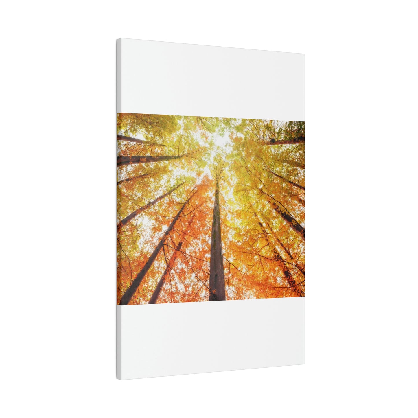 A fall Dream on Matte Canvas, Stretched, 0.75"