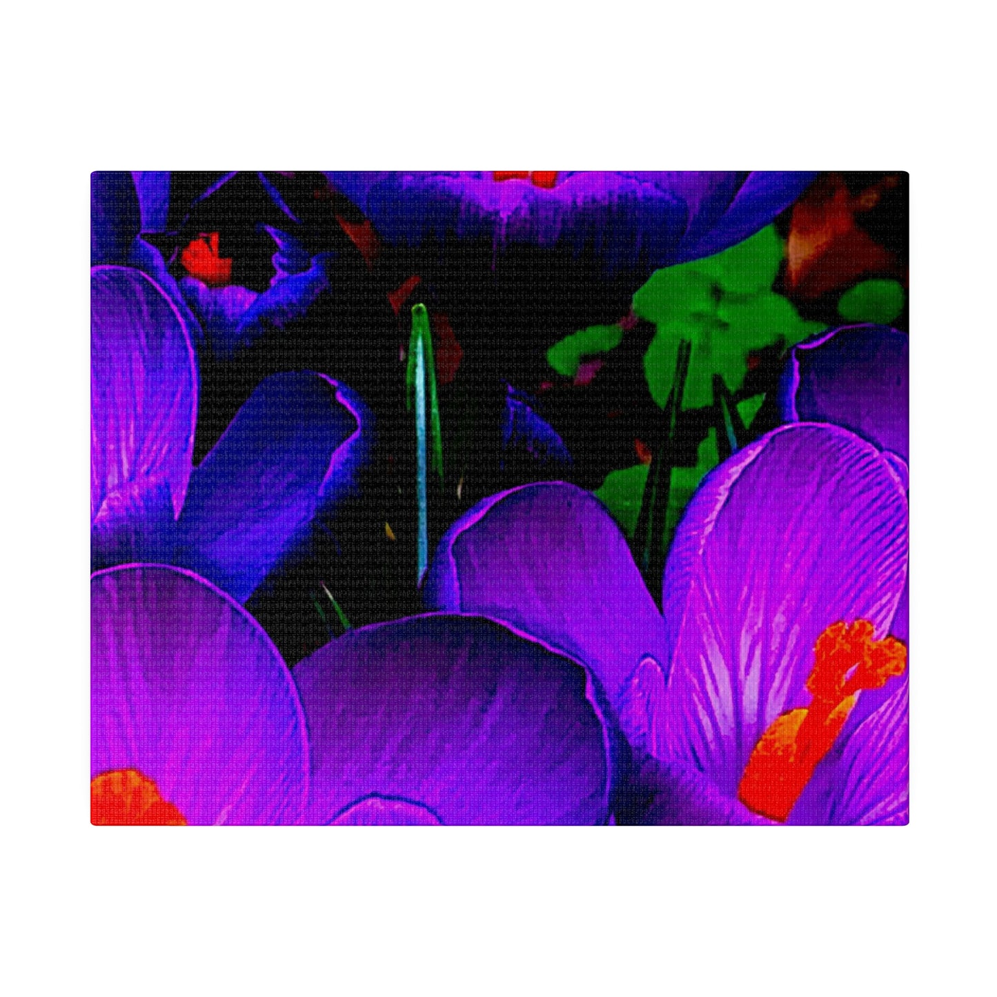 Purple Flowers on Matte Canvas, Stretched, 0.75"