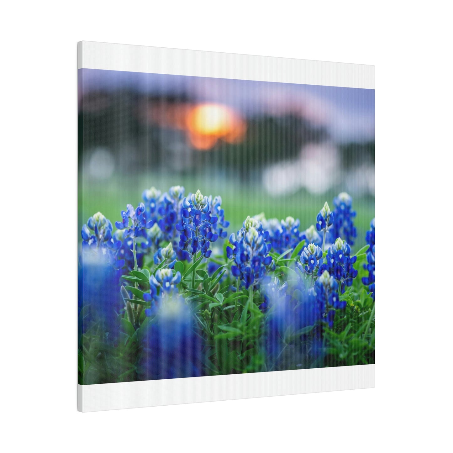 Blue Bonnets on matte Canvas, Stretched, 0.75"