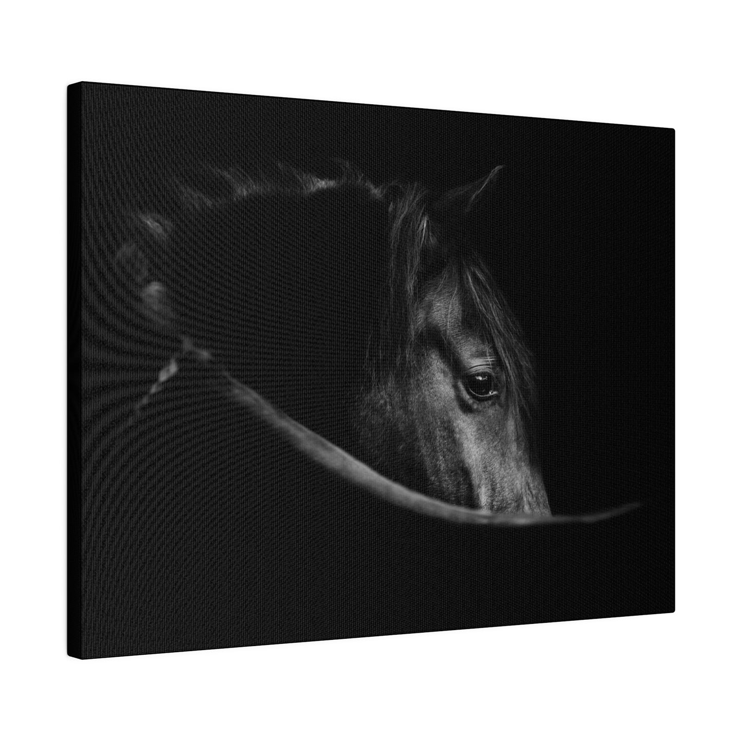 Black Beauty on Matte Canvas, Stretched, 0.75"