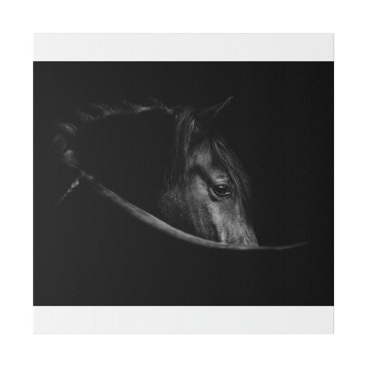 Black Beauty on Matte Canvas, Stretched, 0.75"