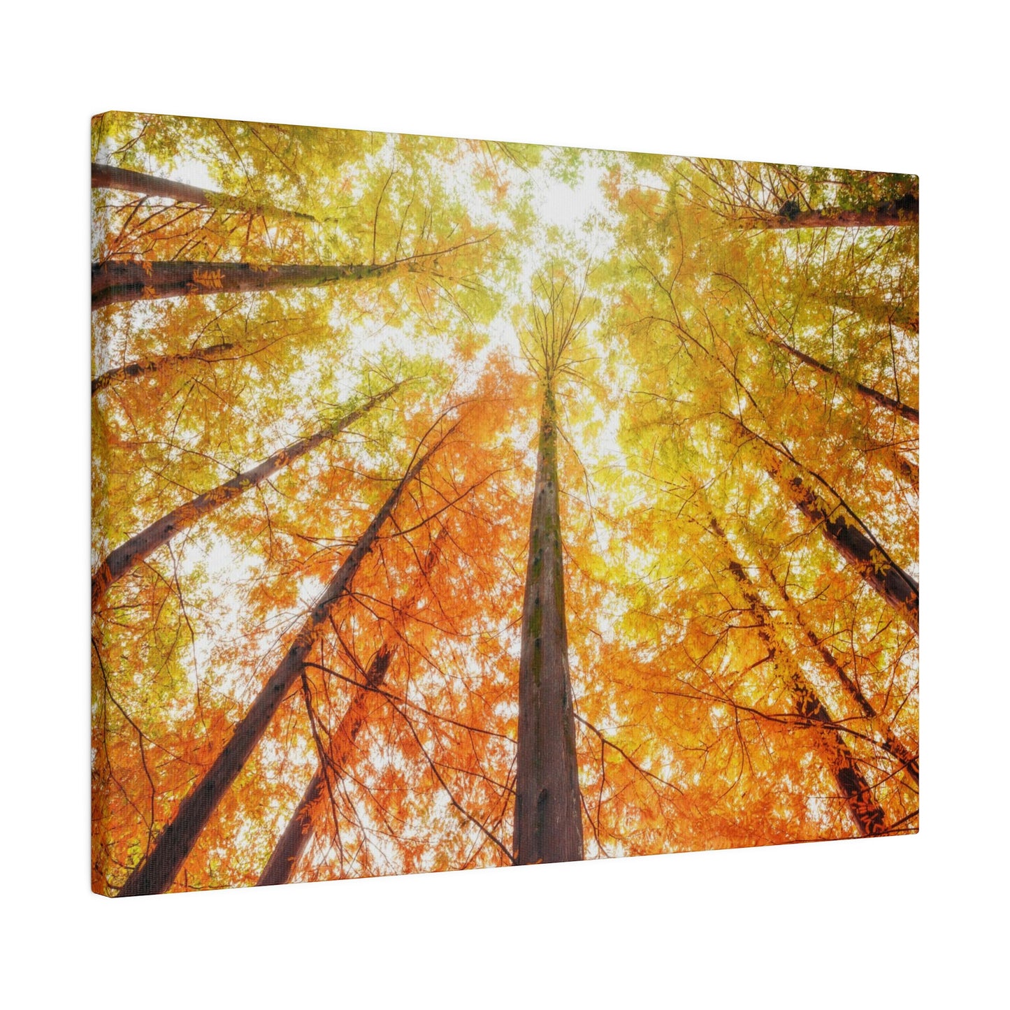 A fall Dream on Matte Canvas, Stretched, 0.75"