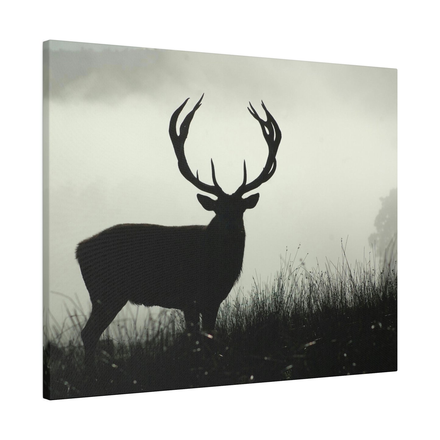 Big Buck on Matte Canvas, Stretched, 0.75"