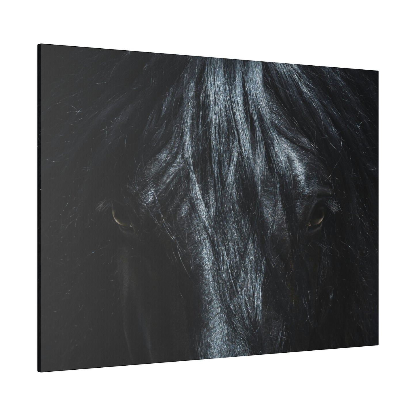 Black horse Face on Matte Canvas, Stretched, 0.75"